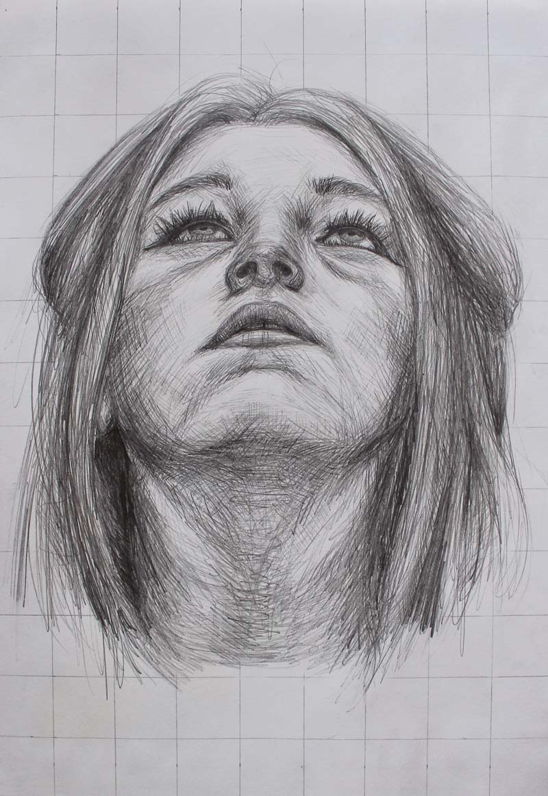 Looking Up Drawing at Explore collection of