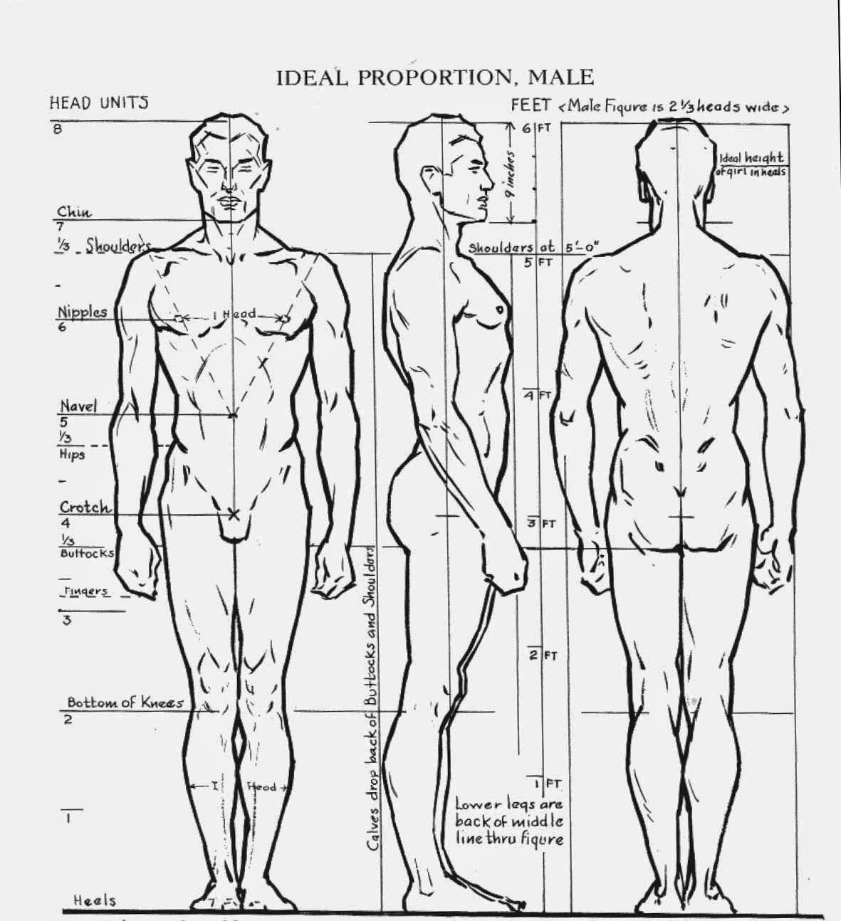 1181x1294 Byu Winter Figure Drawing Ideal Proportions - Loomis Figure Drawing