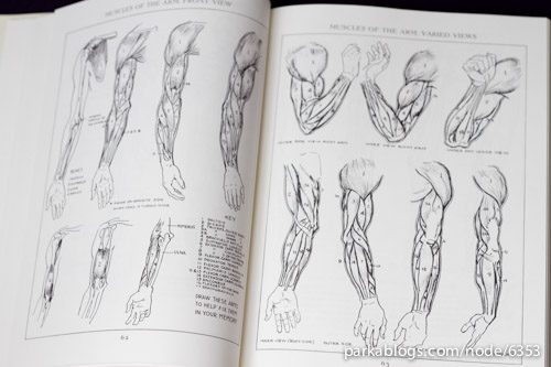 500x333 book review figure drawing for all it's worth parka blogs - Loomis Figure Drawing