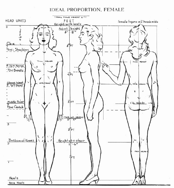 590x639 review loomis' figure drawing for all it's worth spitfire comics - Loomis Figure Drawing