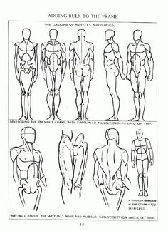 236x324 andrew loomis figure drawing for all it's worth - Loomis Figure Drawing