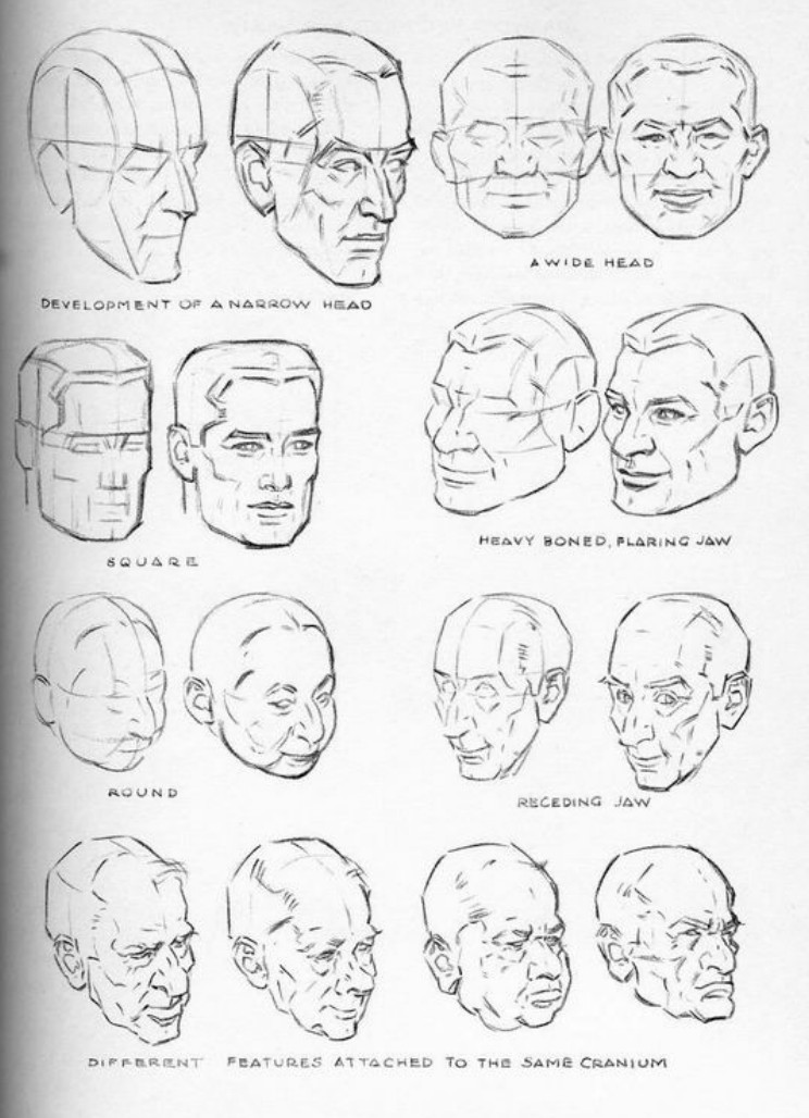 andrew loomis face drawing