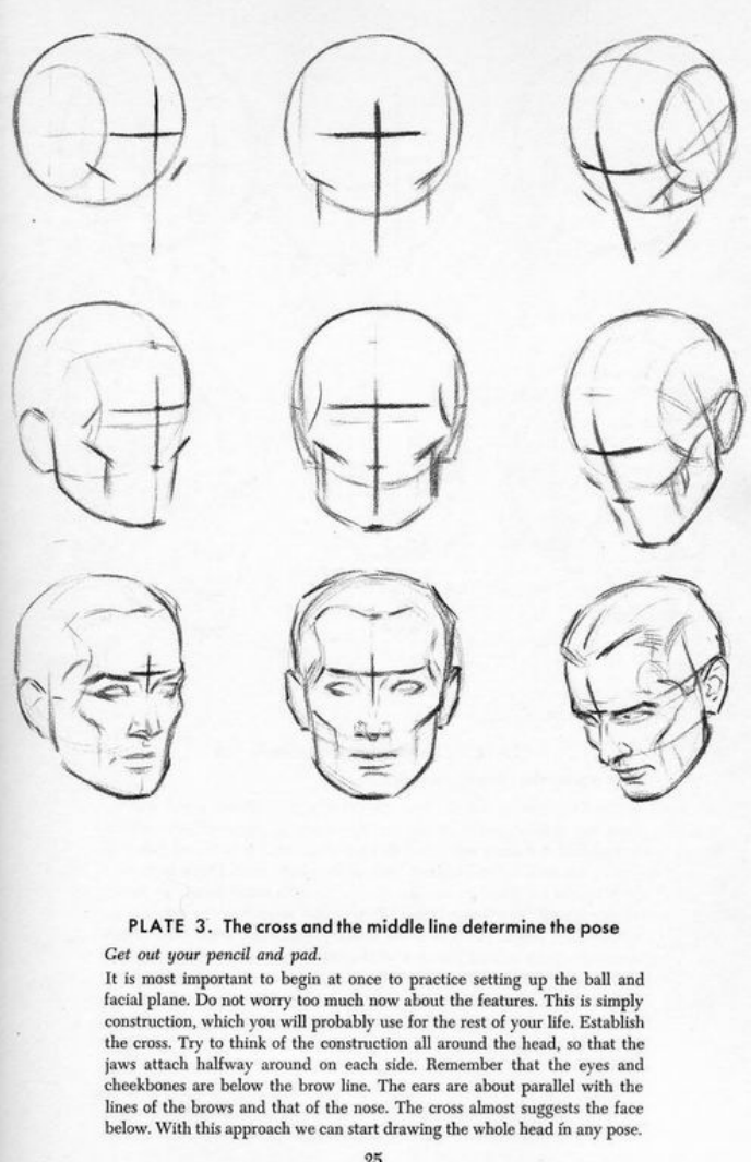 688x1065 Drawing The Head And Hands - Loomis Head Drawing