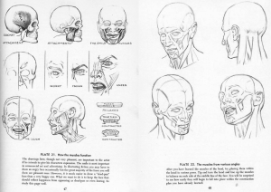 300x212 Drawing The Head And Hands Review - Loomis Head Drawing