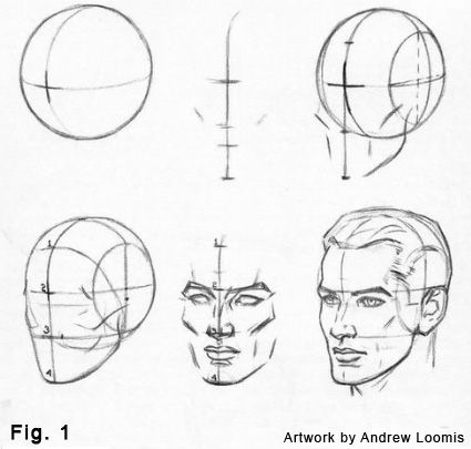 425x405 Free Download How To Draw A Head Step - Loomis Head Drawing