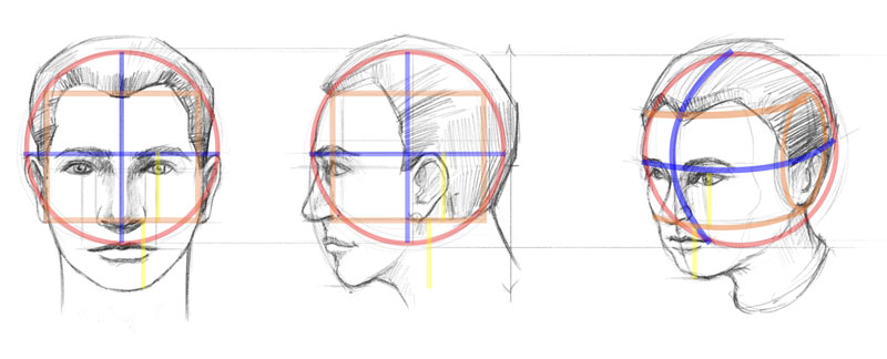 800x324 How To Draw A Face - Loomis Head Drawing