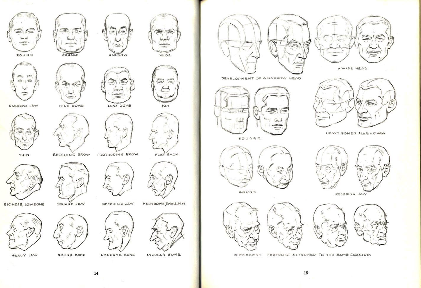 loomis method drawing heads