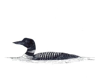 340x270 Common Loon Drawing Etsy - Loon Drawing