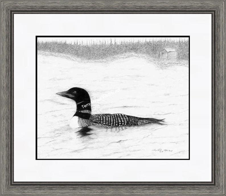 794x687 Loon Pencil Art Sketch Print Diver Graphite Etsy - Loon Drawing