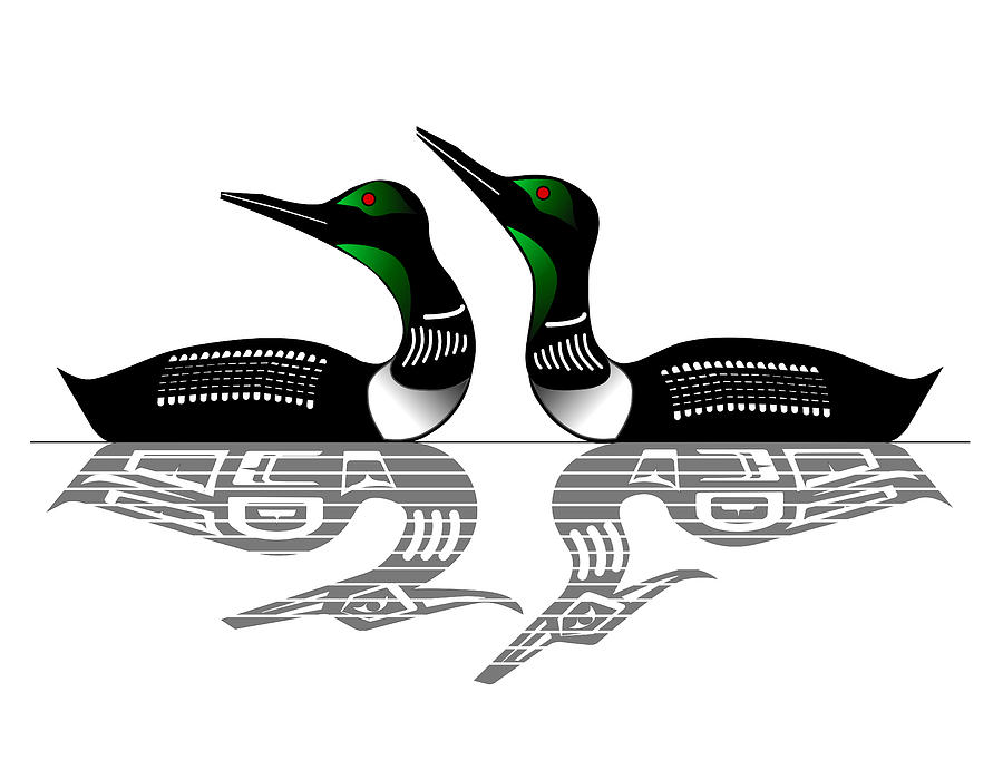900x691 two loons reflected drawing - Loon Drawing