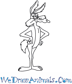 300x350 how to draw wile e coyote from looney tunes - Looney Toons Drawings