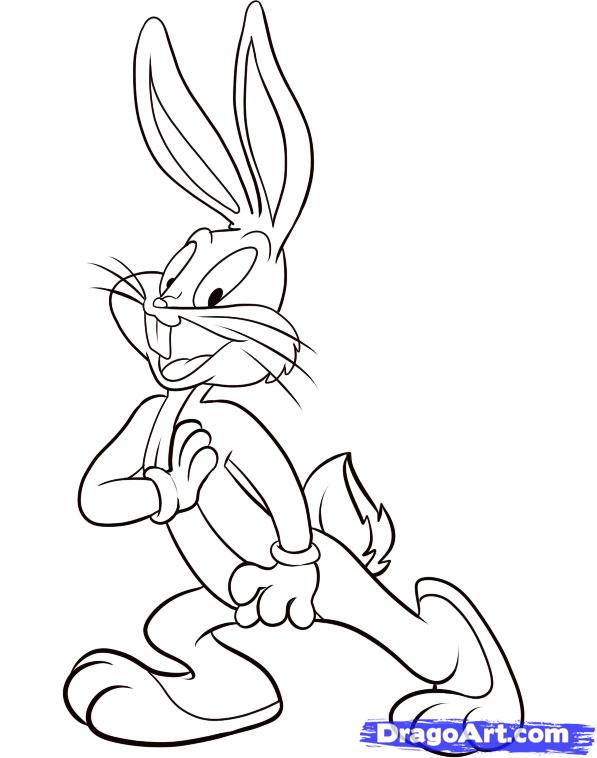 597x758 how to draw a looney toon, step - Looney Toons Drawings