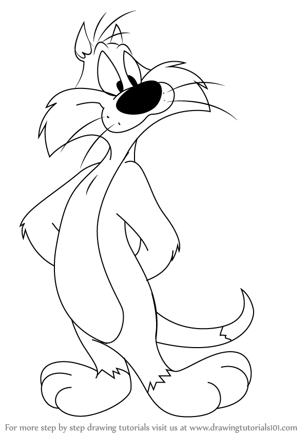598x844 learn how to draw sylvester from looney tunes - Looney Toons Drawings