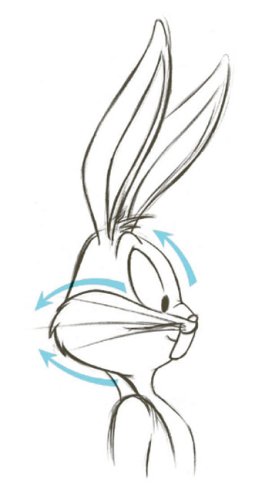 272x500 draw the looney tunes dan romanelli books - Looney Toons Drawings