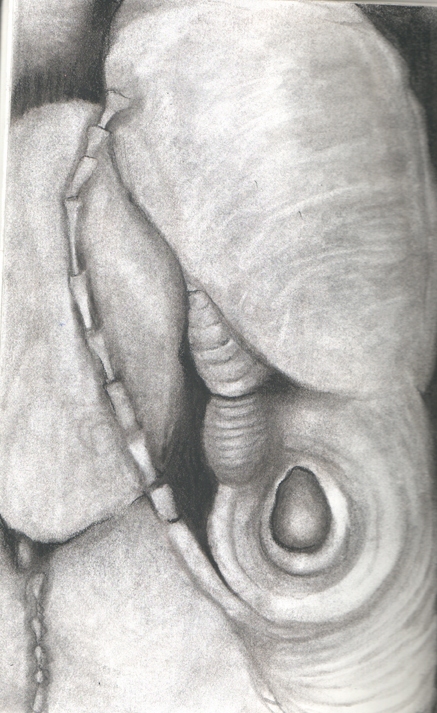 437x713 Louise Weinberg Drawings Rockslost And Found - Lost Drawings