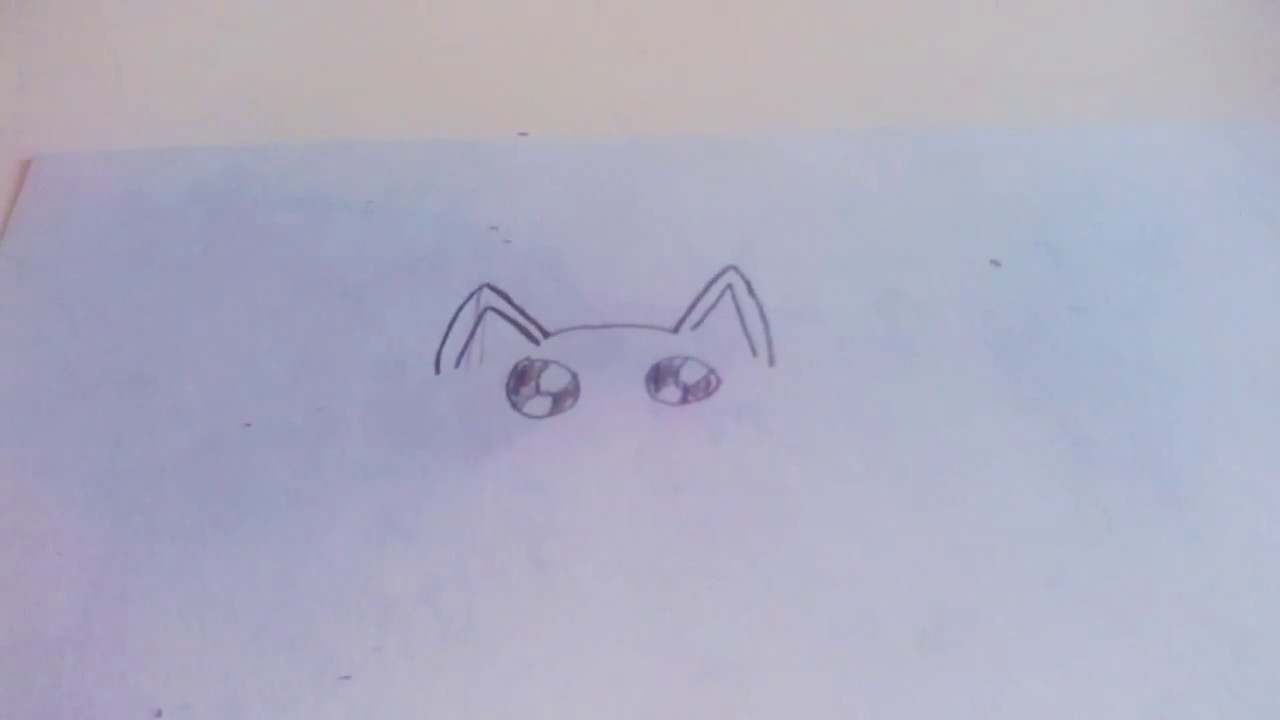 1280x720 Beginners Sir Meows A Lot Drawing - LotDrawing