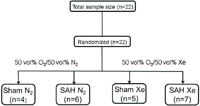 693x366 Flow Chart Of Included Animals Animals Were Randomized - LotDrawing