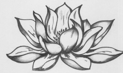 400x238 Lotus Flower - Lotus Blossom Drawing