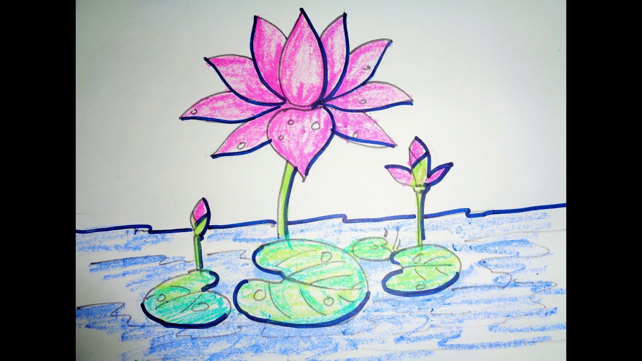 1280x720 How To Draw Lotus Step - Lotus Drawing