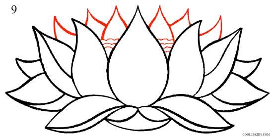 550x277 How To Draw Lotus Flower - Lotus Drawing