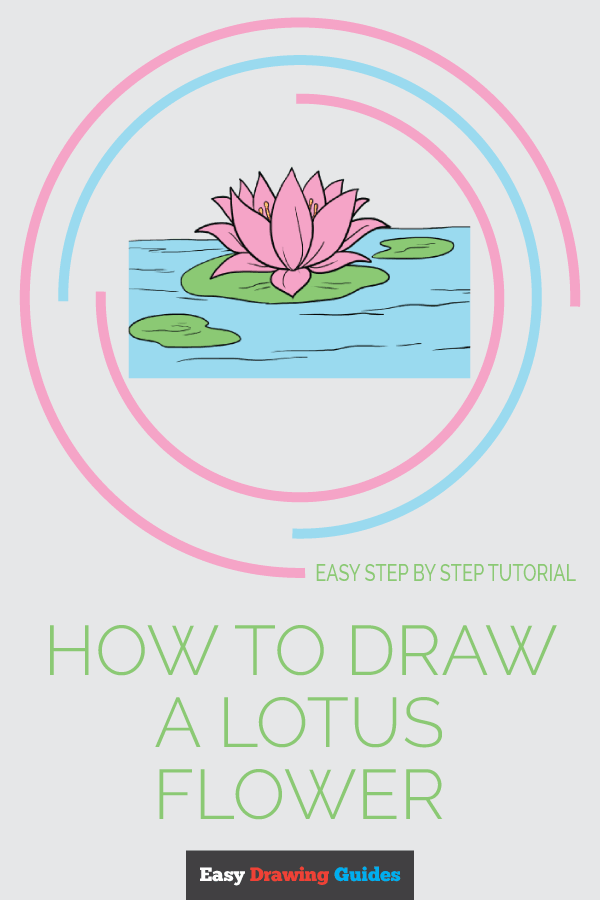 600x900 How To Draw A Lotus Flower - Lotus Drawing
