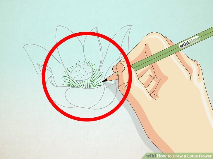728x546 How To Draw A Lotus Flower Steps - Lotus Drawing
