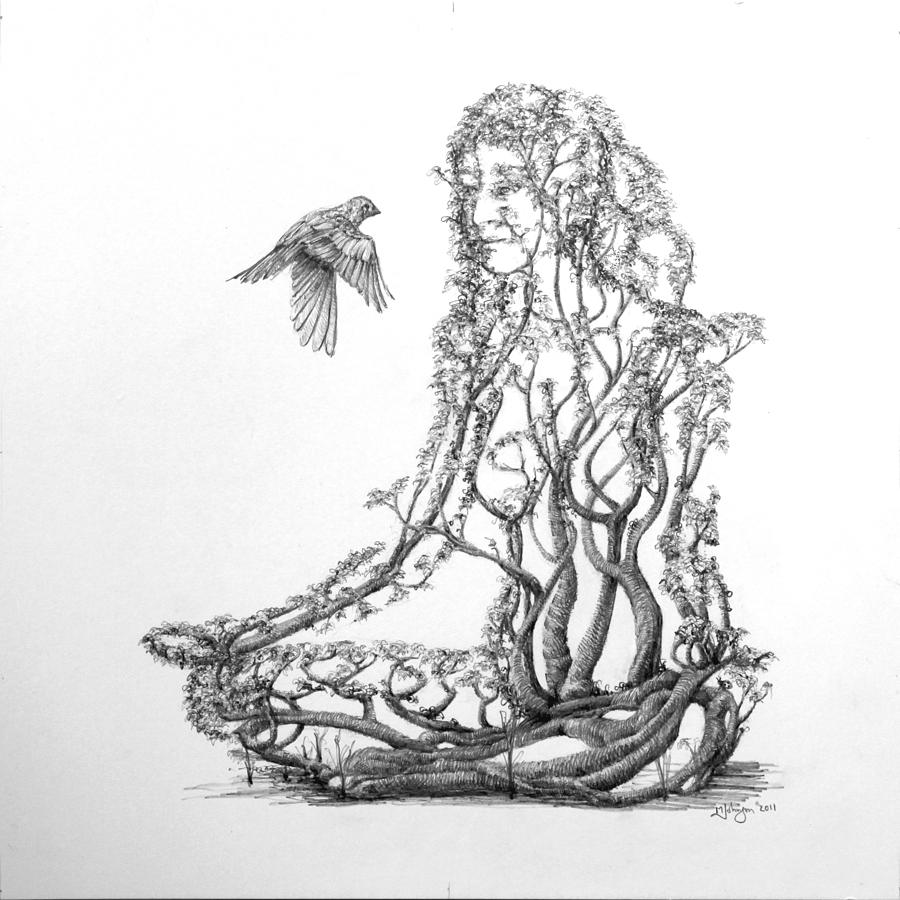 900x900 Lotus Dancer Drawing - Lotus Drawing