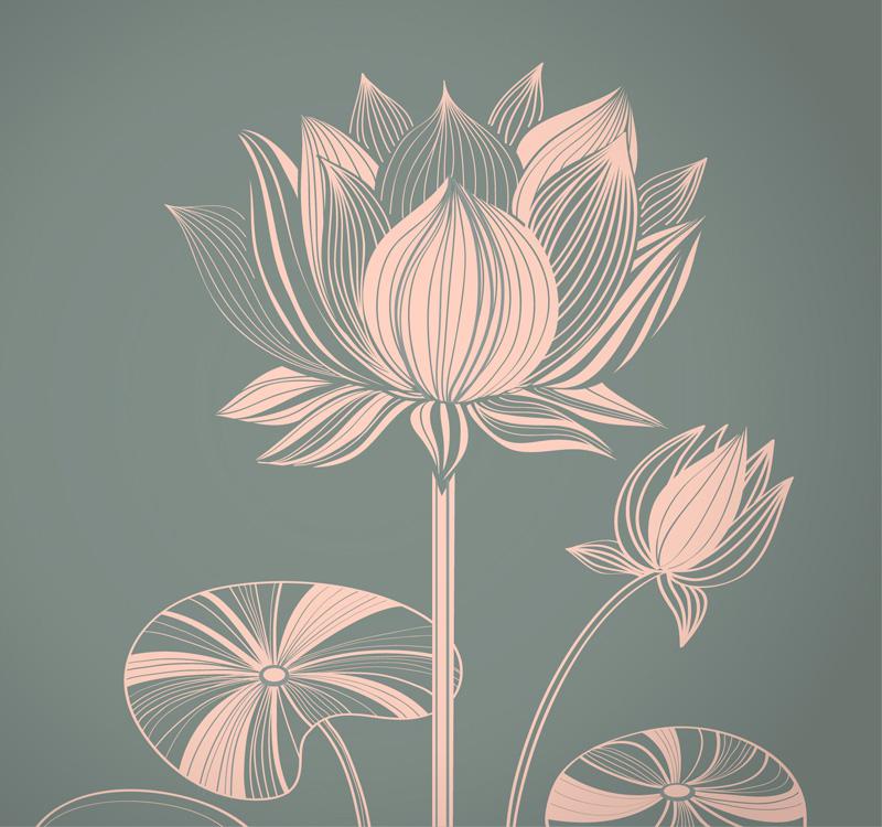 800x750 Creative Drawing Lotus Design Vector - Lotus Drawing