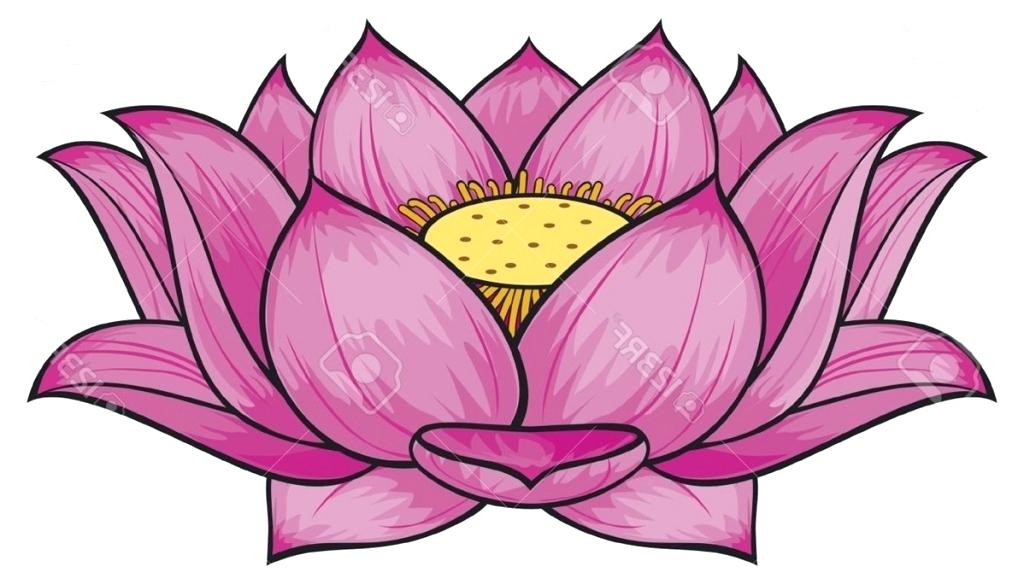 1024x584 Lotus Flower Drawing - Lotus Drawing Images