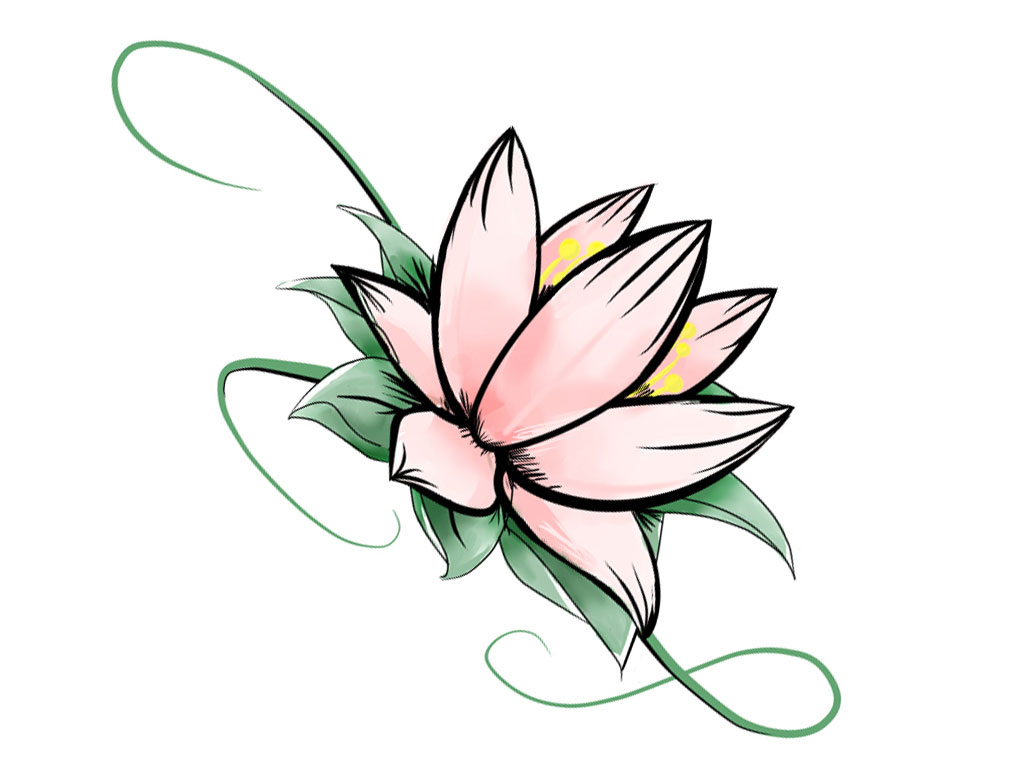 1024x768 Lotus Drawings - Lotus Drawing Images
