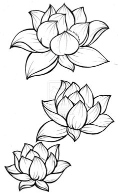 236x387 Best Lotus Drawing Images Lotus Flower, Silk Painting - Lotus Drawing Images