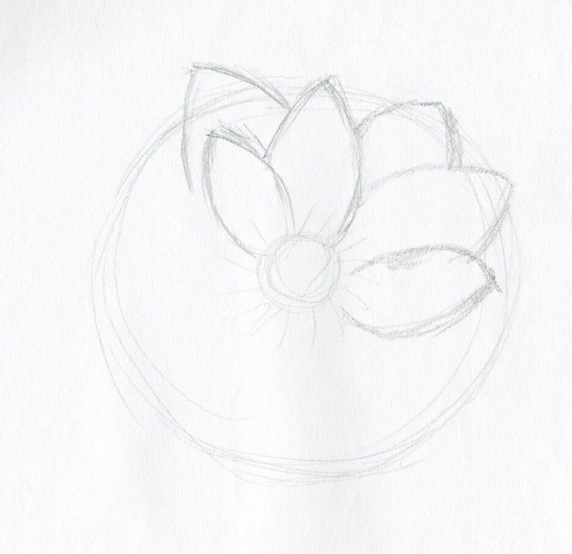 823x797 Lotus Flower Drawings Made Easy - Lotus Drawing Simple
