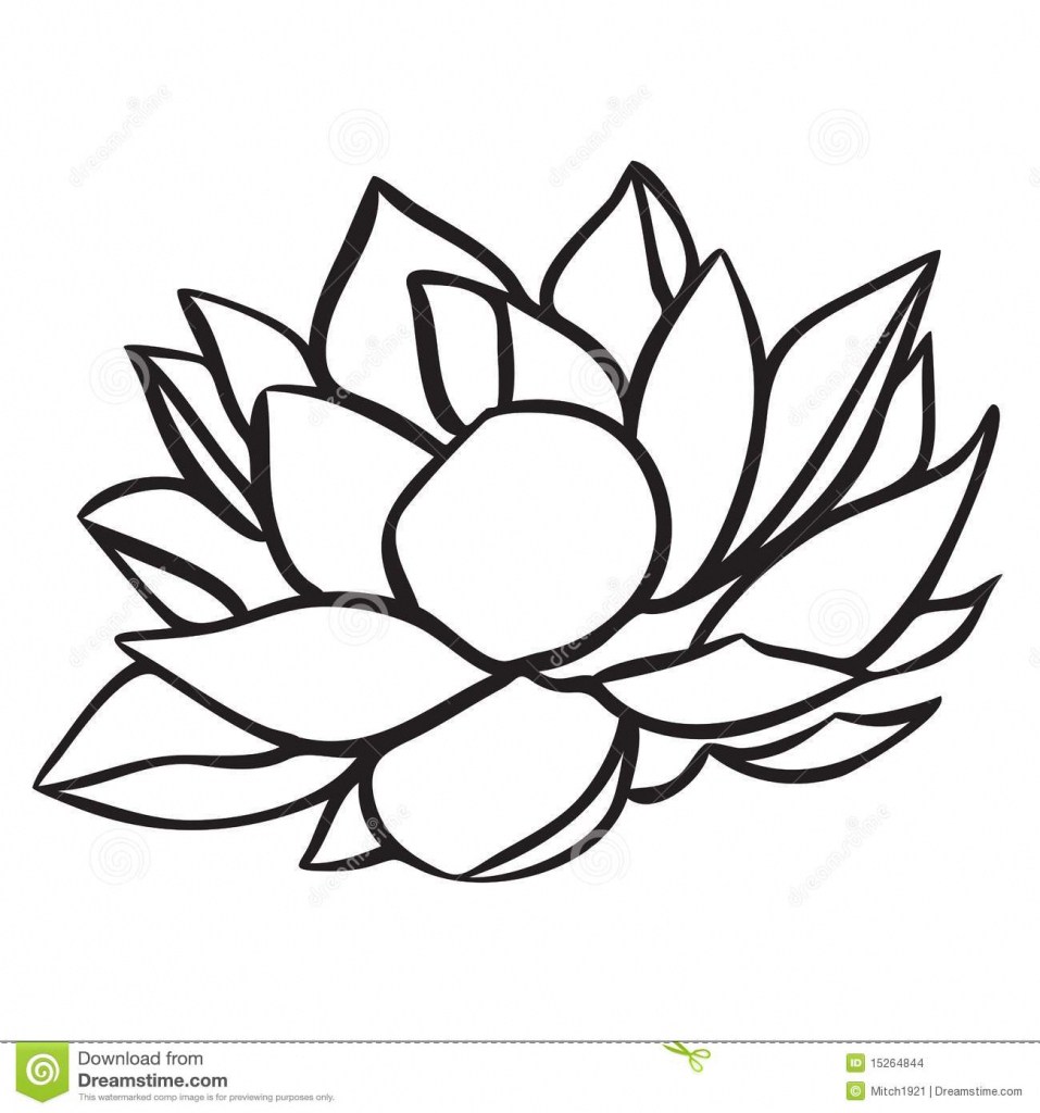 957x1024 Lotus Flower Easy To Draw - Lotus Drawing Simple