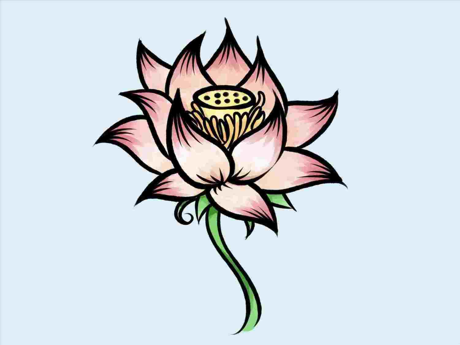 1501x1126 Simple Lotus Drawing - Lotus Drawing Simple
