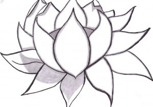 300x210 Simple Lotus Flower Drawing Free Lotus Drawing, Download Free Clip - Lotus Drawing Simple