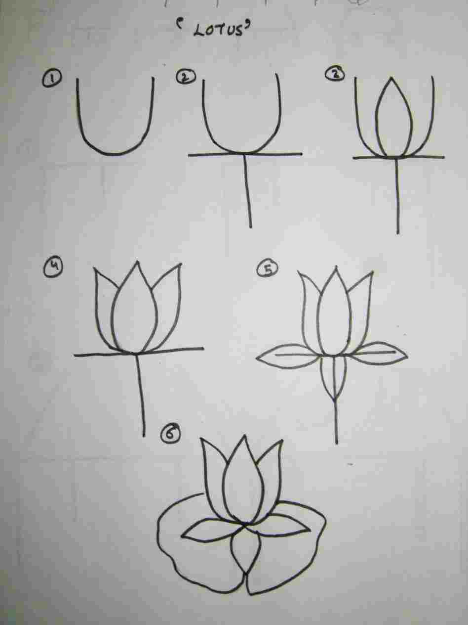 Lotus Drawing Simple at PaintingValley.com | Explore collection of ...