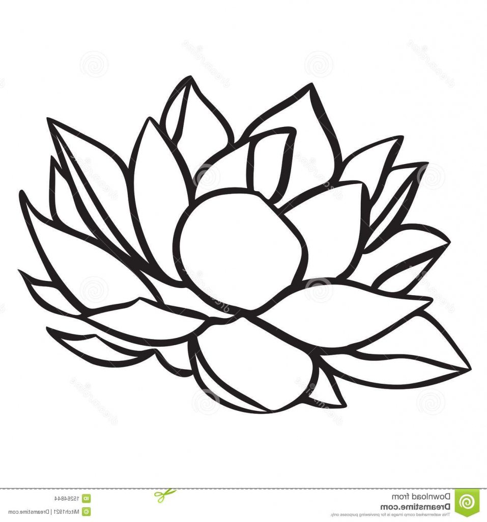 957x1024 Easy Simple Lotus Drawing - Lotus Drawing Simple