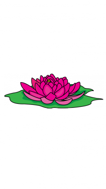 215x382 How To Draw A Lotus, Easy Step - Lotus Drawing Step By Step