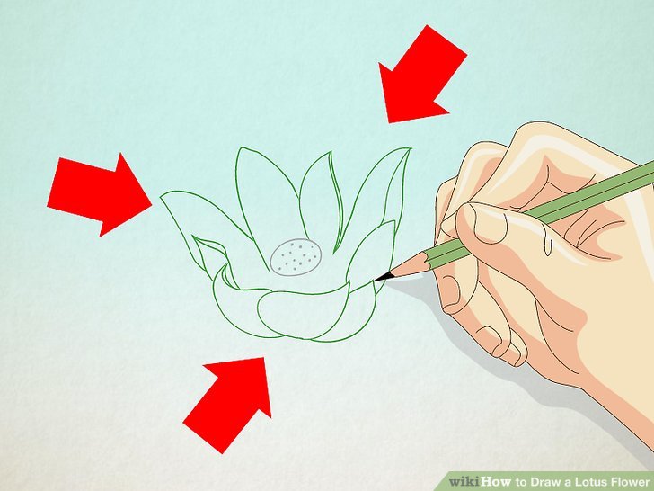 728x546 How To Draw A Lotus Flower Steps - Lotus Drawing Step By Step