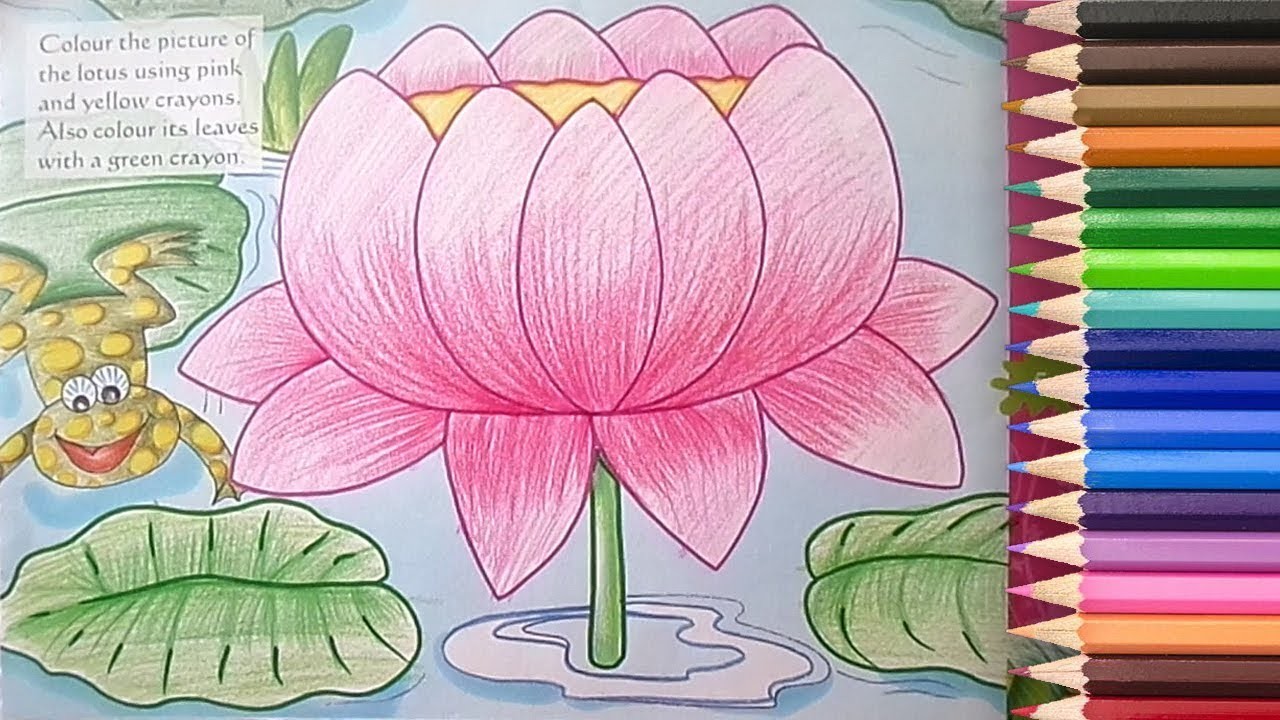 1280x720 How To Draw And Coloring A Lotus In Easy Step - Lotus Drawing Step By Step
