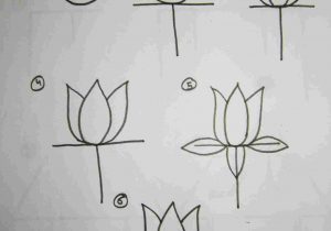 300x210 Step - Lotus Drawing Step By Step