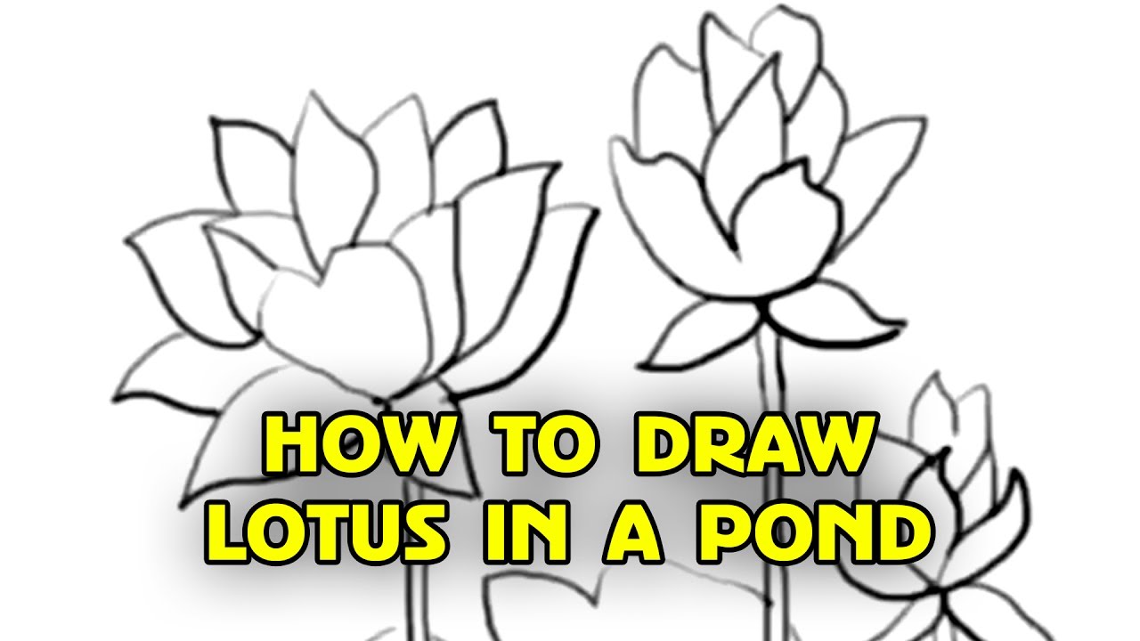 1280x720 Free Tutorial, How To Draw Lotus Flowers Step - Lotus Drawing Step By Step
