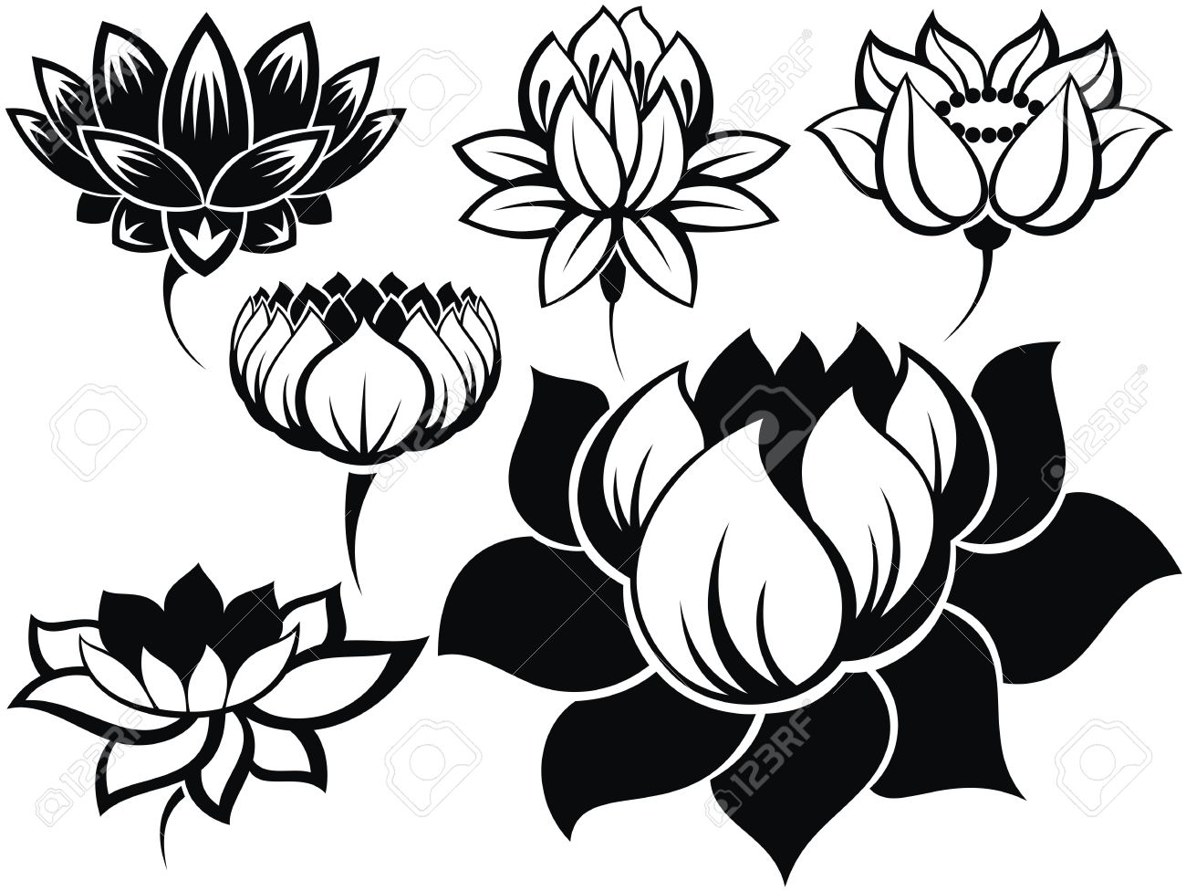 Black And White Lotus Flower Images Clipart