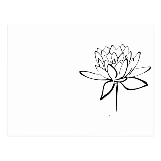 540x540 Lotus Flower Black And White Ink Drawing Art Postcard - Lotus Flower Black And White Drawing