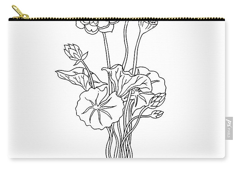 800x570 Lotus Flower Botanical Drawing Black And White Carry All Pouch - Lotus Flower Black And White Drawing