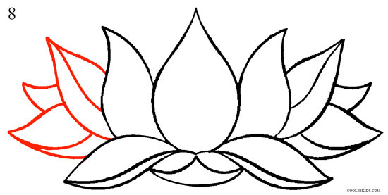 550x277 How To Draw Lotus Flower - Lotus Flower Drawing