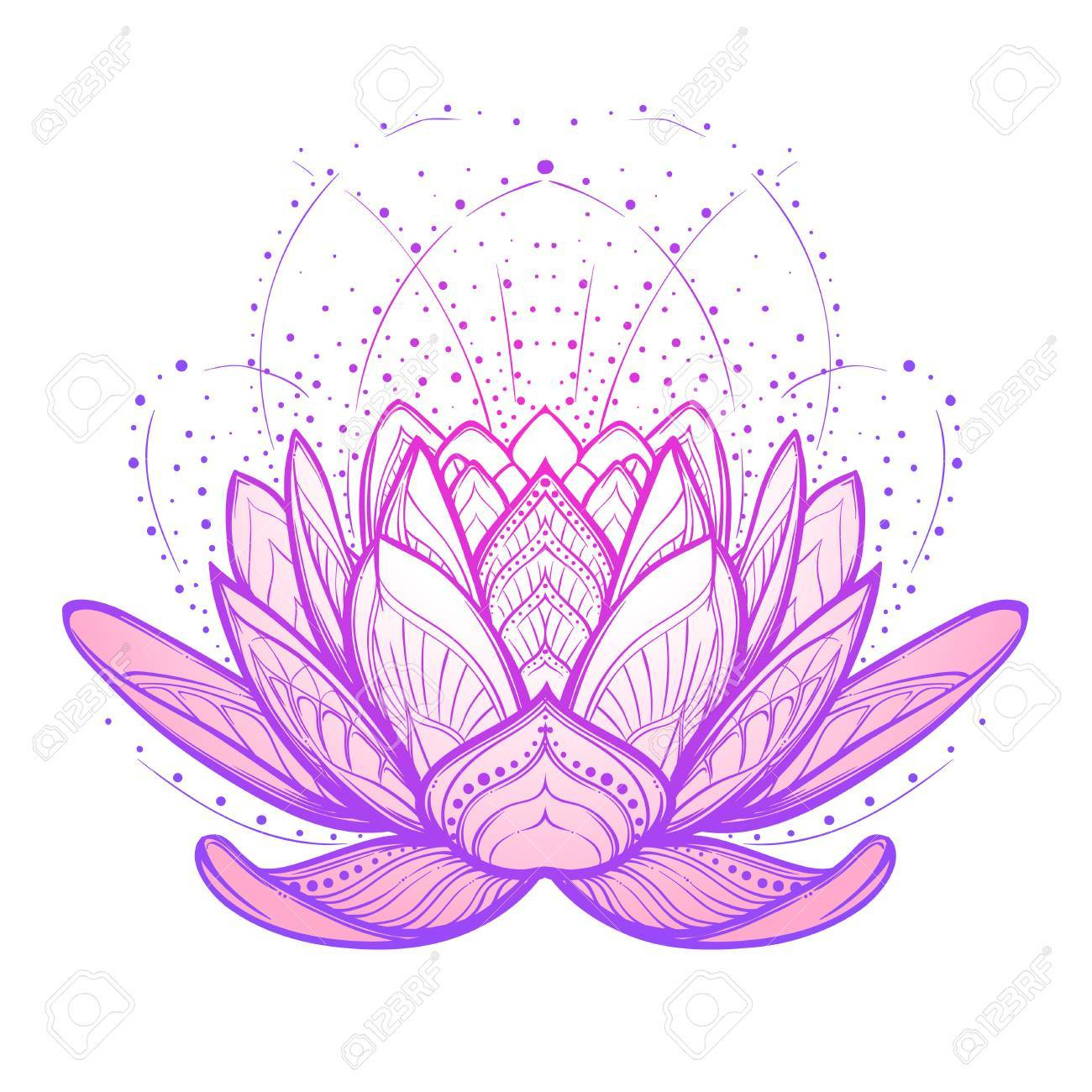 1300x1300 Lotus Drawings - Lotus Flower Drawing