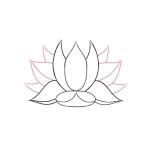 300x300 How To Draw A Lotus - Lotus Flower Drawing