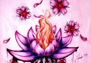 300x210 Lotus Flower Drawing Color Drawing A Lotus Flower With Simple - Lotus Flower Drawing Color