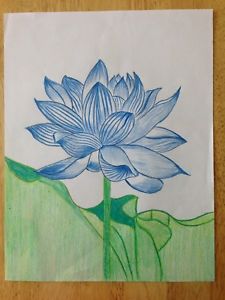 225x300 Original Color Pencil Drawing - Lotus Flower Drawing Color
